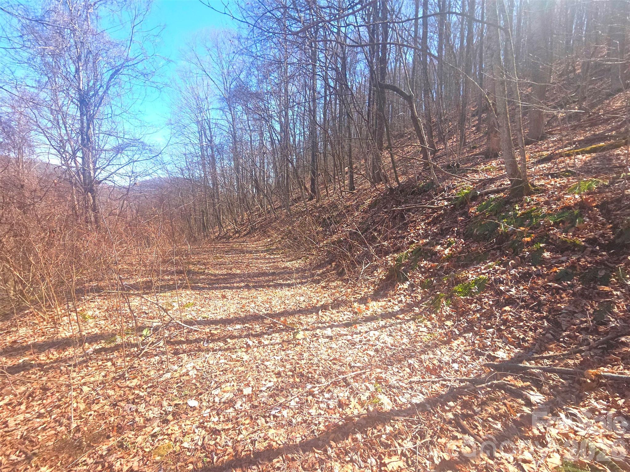 1200 Chestnut Flats Lane Waynesville NC 28786