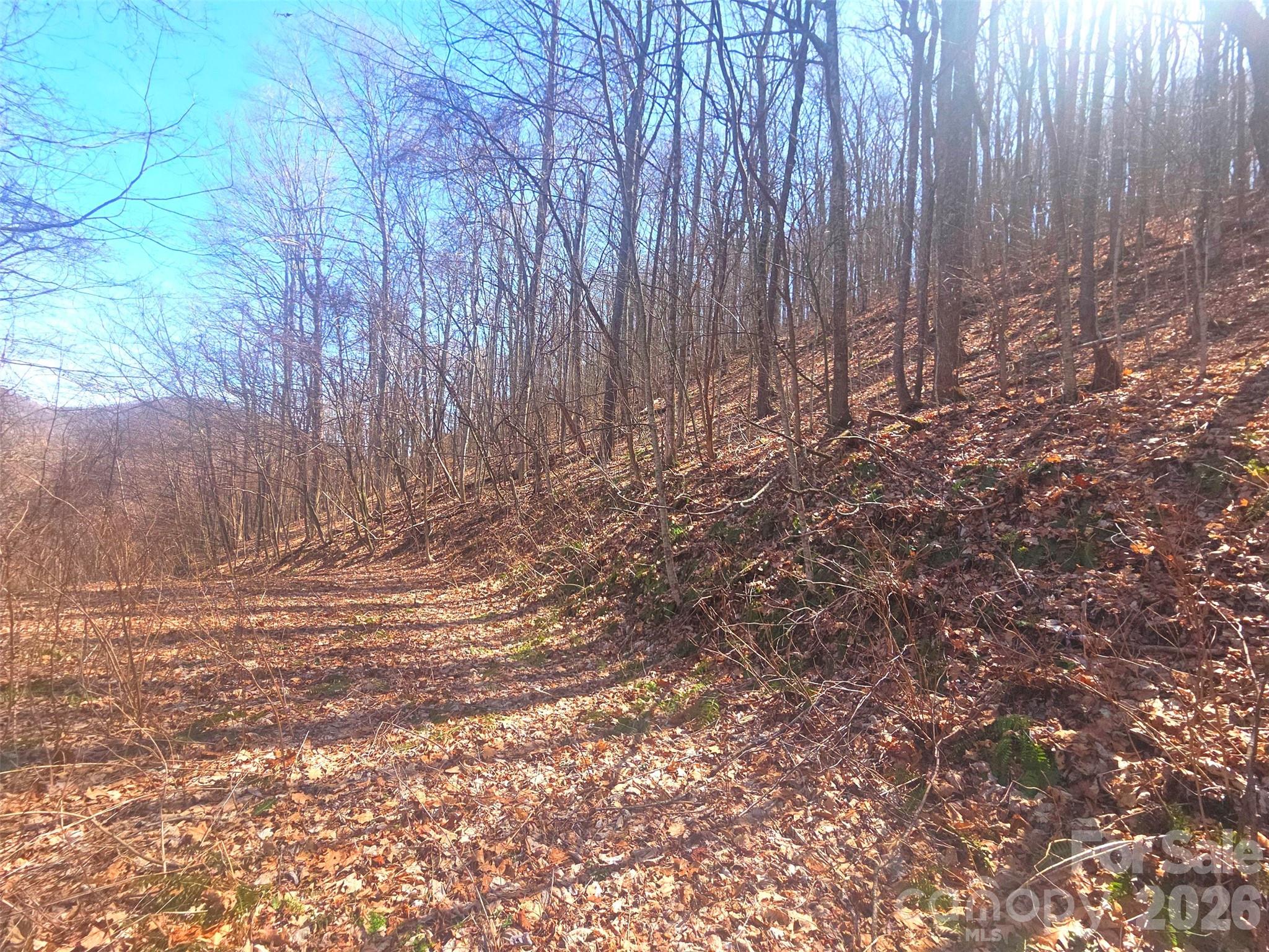 1200 Chestnut Flats Lane Waynesville NC 28786