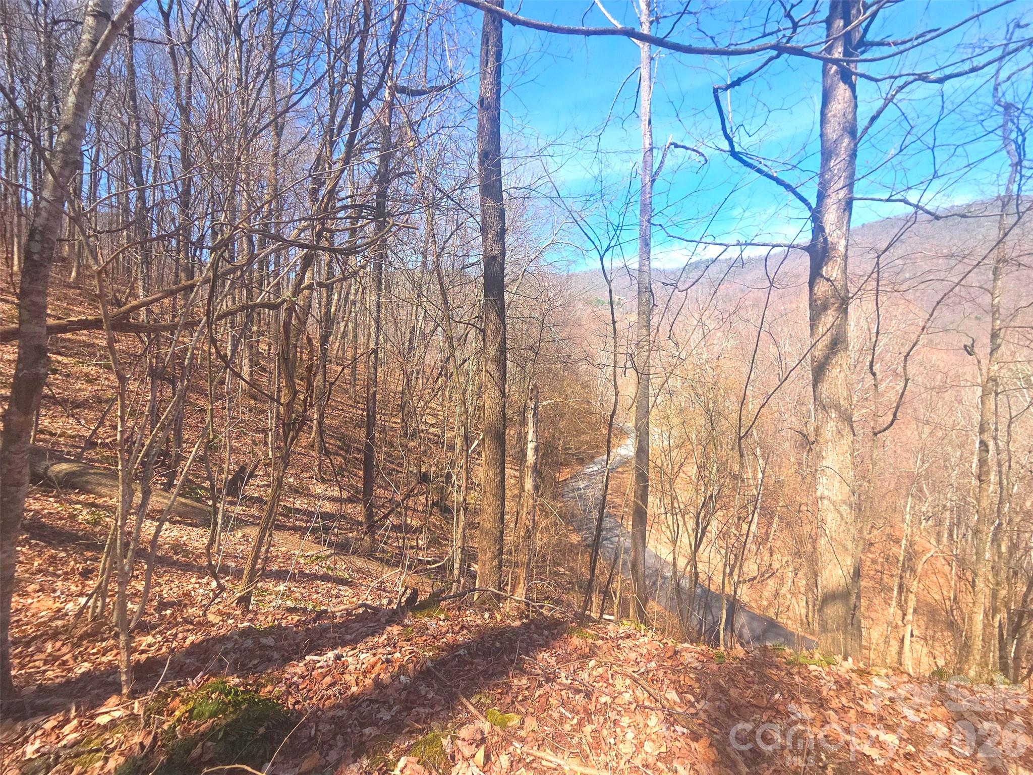 1200 Chestnut Flats Lane Waynesville NC 28786