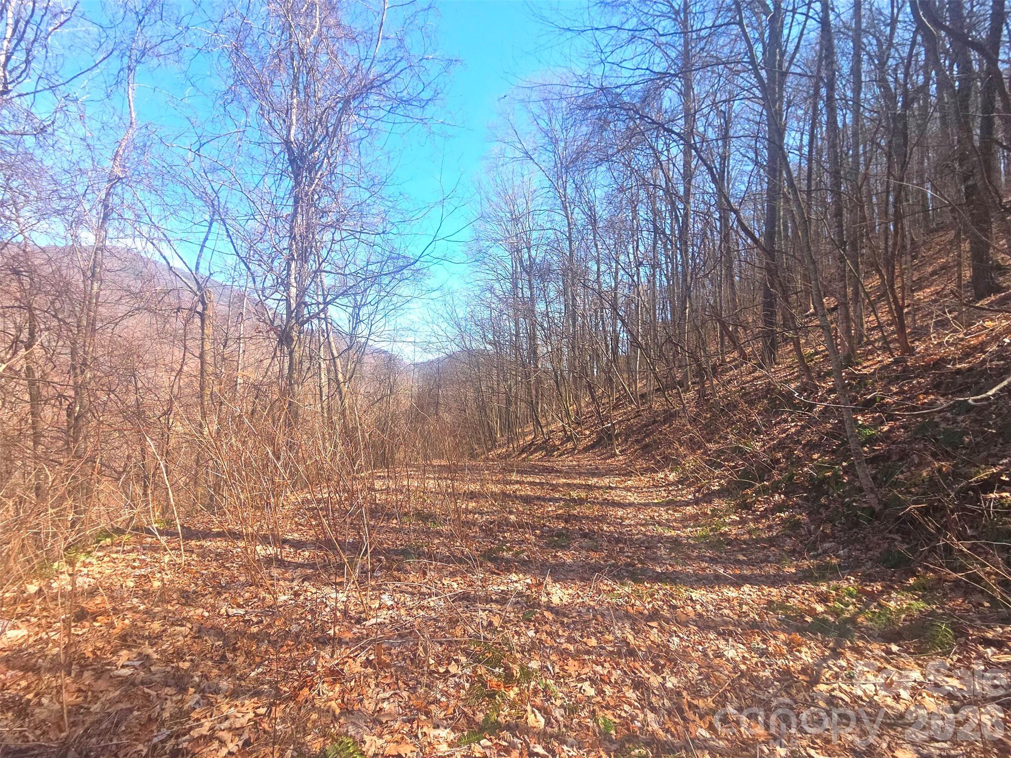 1200 Chestnut Flats Lane Waynesville NC 28786
