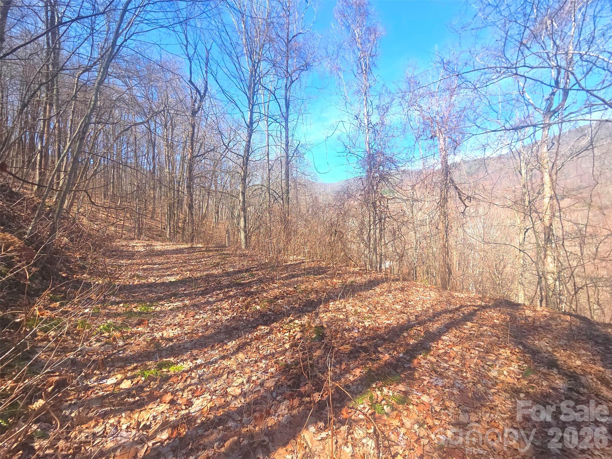 1200 Chestnut Flats Lane Waynesville NC 28786