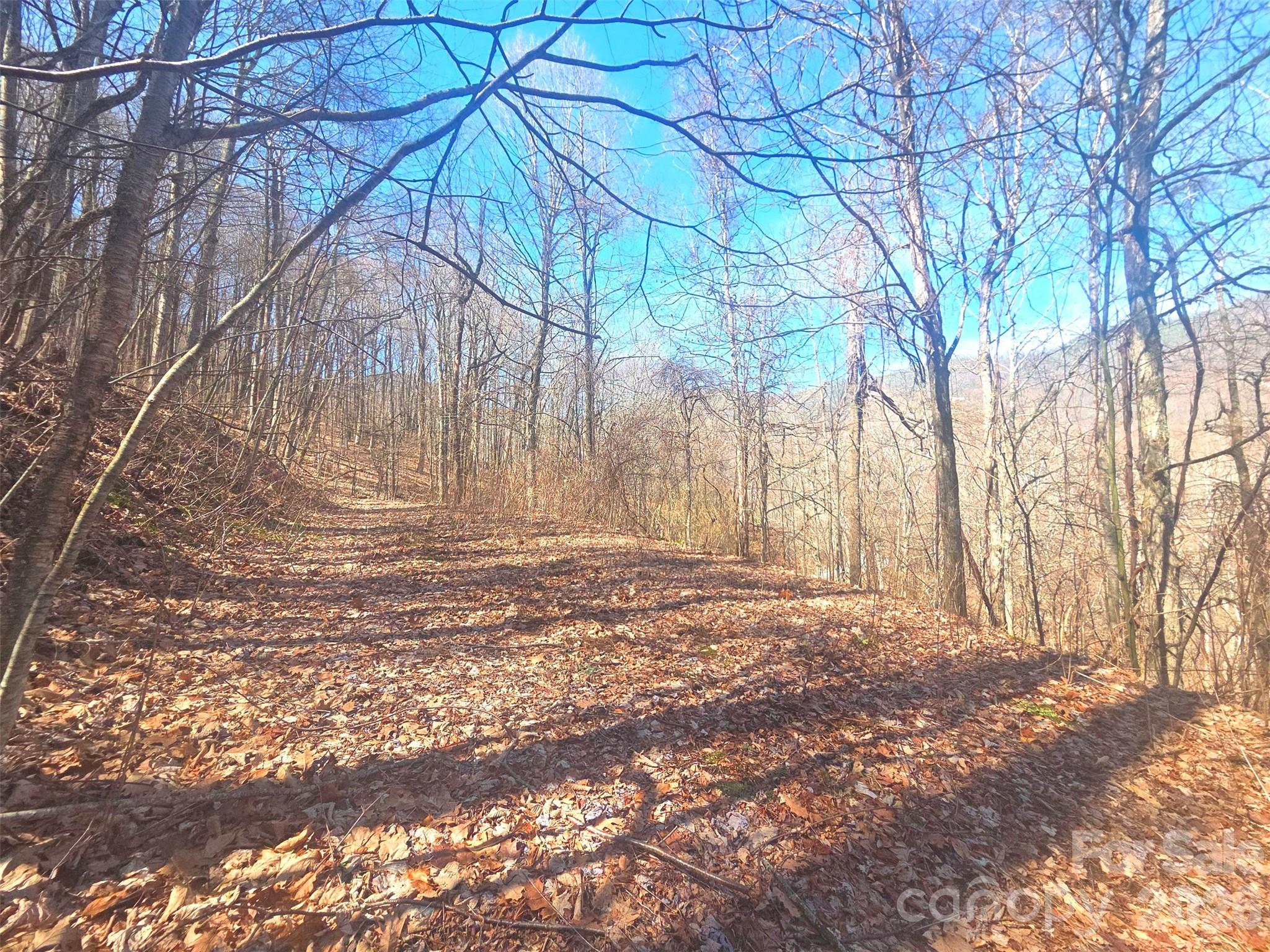 1200 Chestnut Flats Lane Waynesville NC 28786