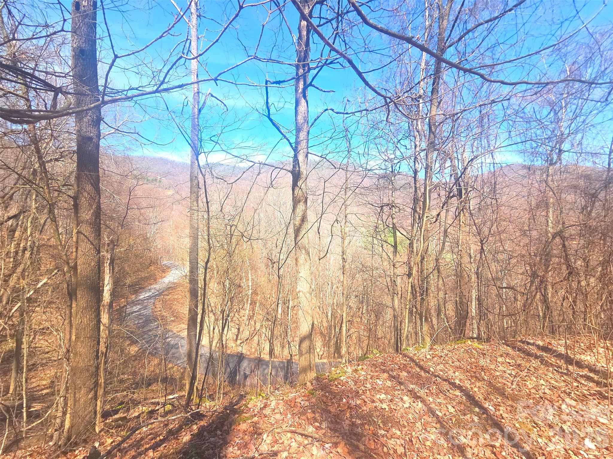 1200 Chestnut Flats Lane Waynesville NC 28786