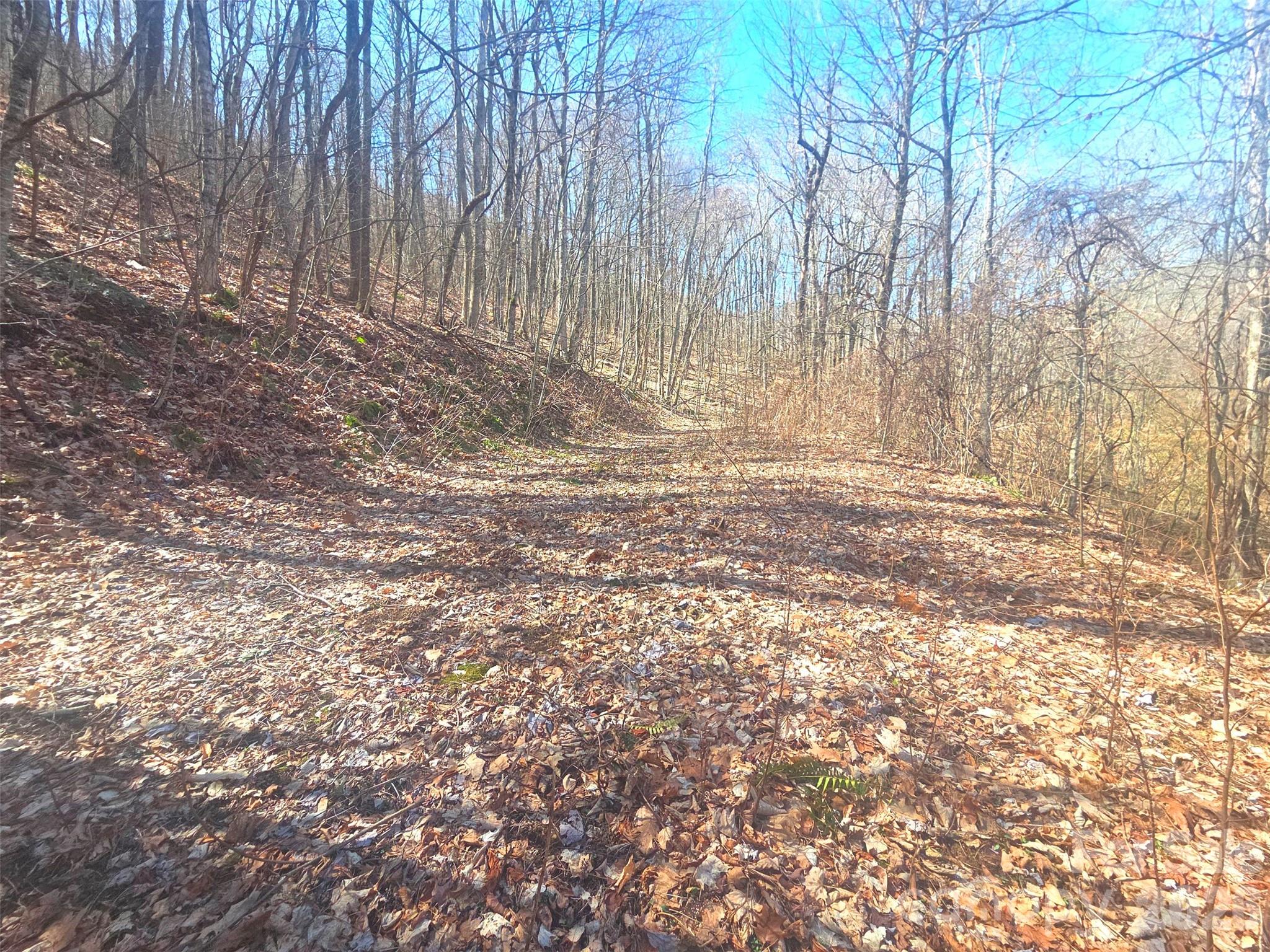 1200 Chestnut Flats Lane Waynesville NC 28786