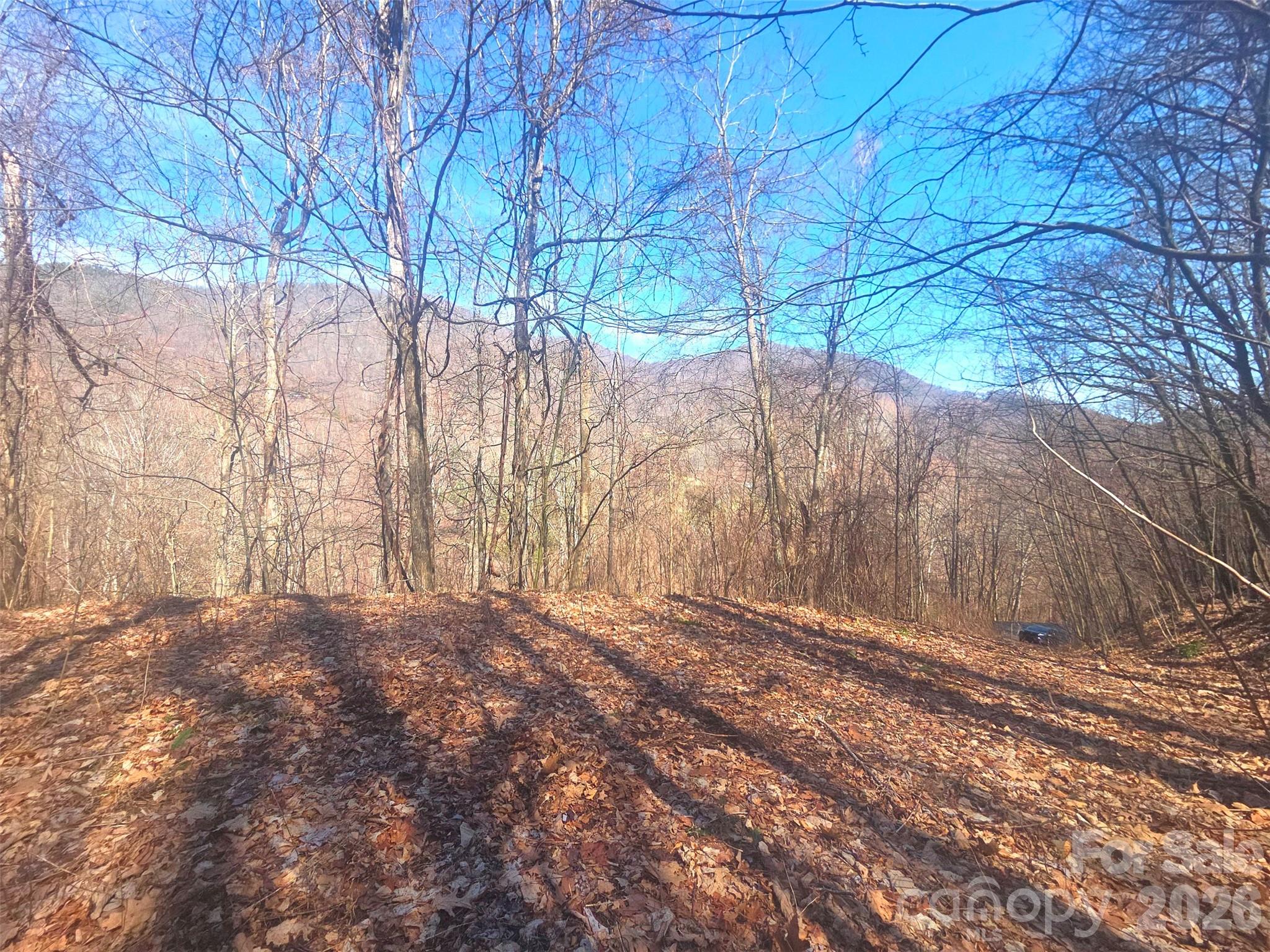 1200 Chestnut Flats Lane Waynesville NC 28786