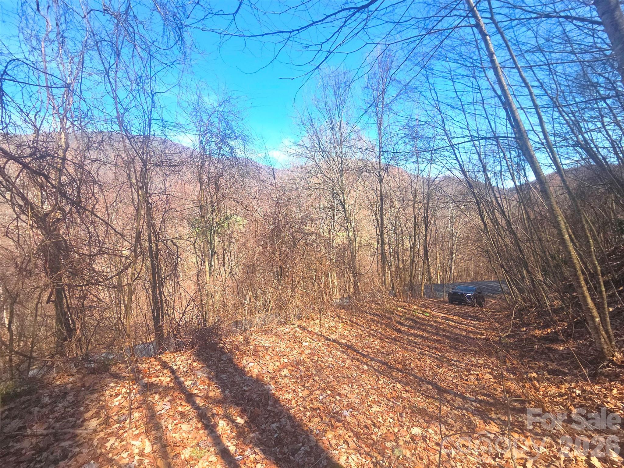 1200 Chestnut Flats Lane Waynesville NC 28786