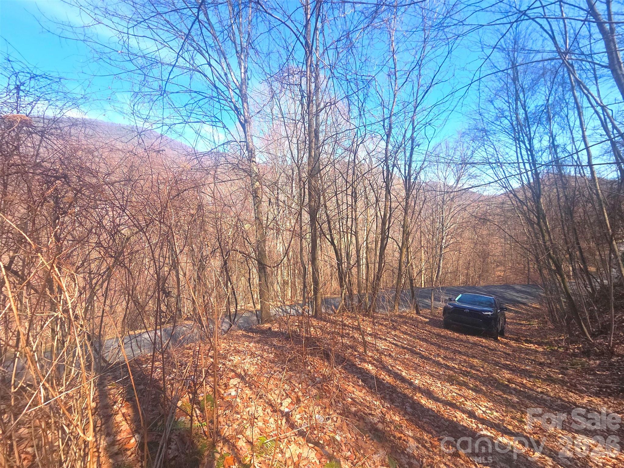 1200 Chestnut Flats Lane Waynesville NC 28786