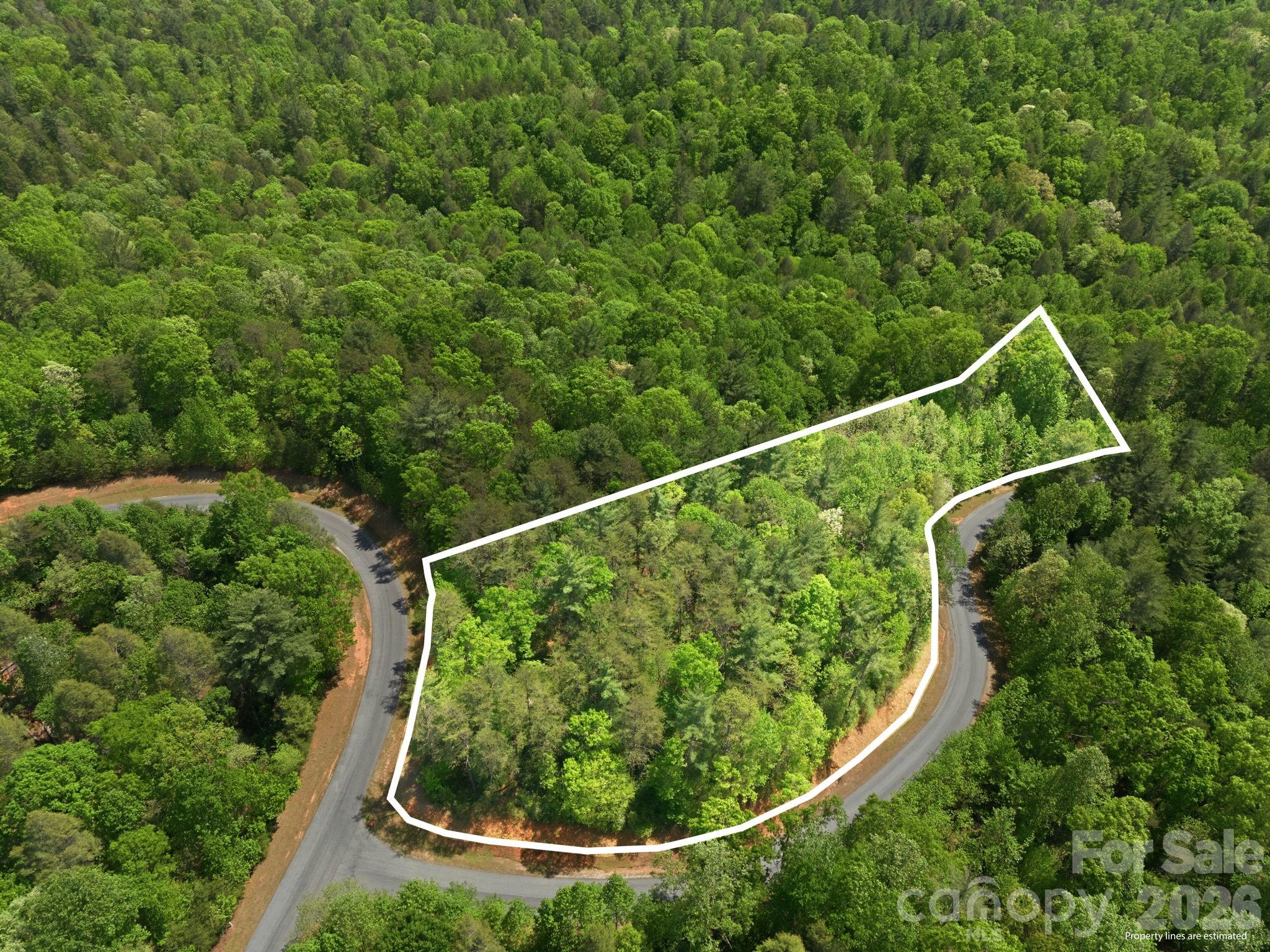 Lot 40 Larkhaven Drive Nebo NC 28761