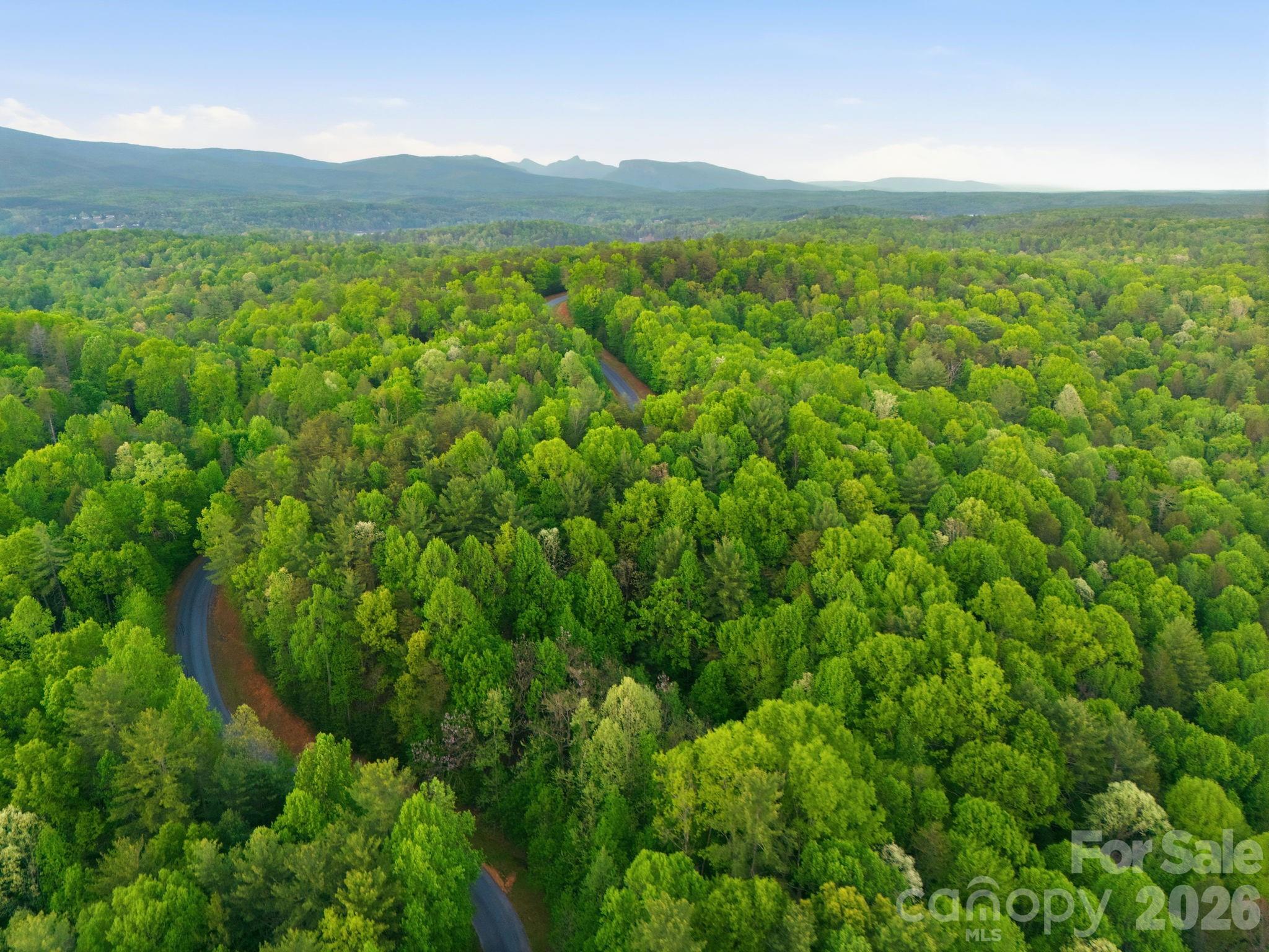 Lot 40 Larkhaven Drive Nebo NC 28761