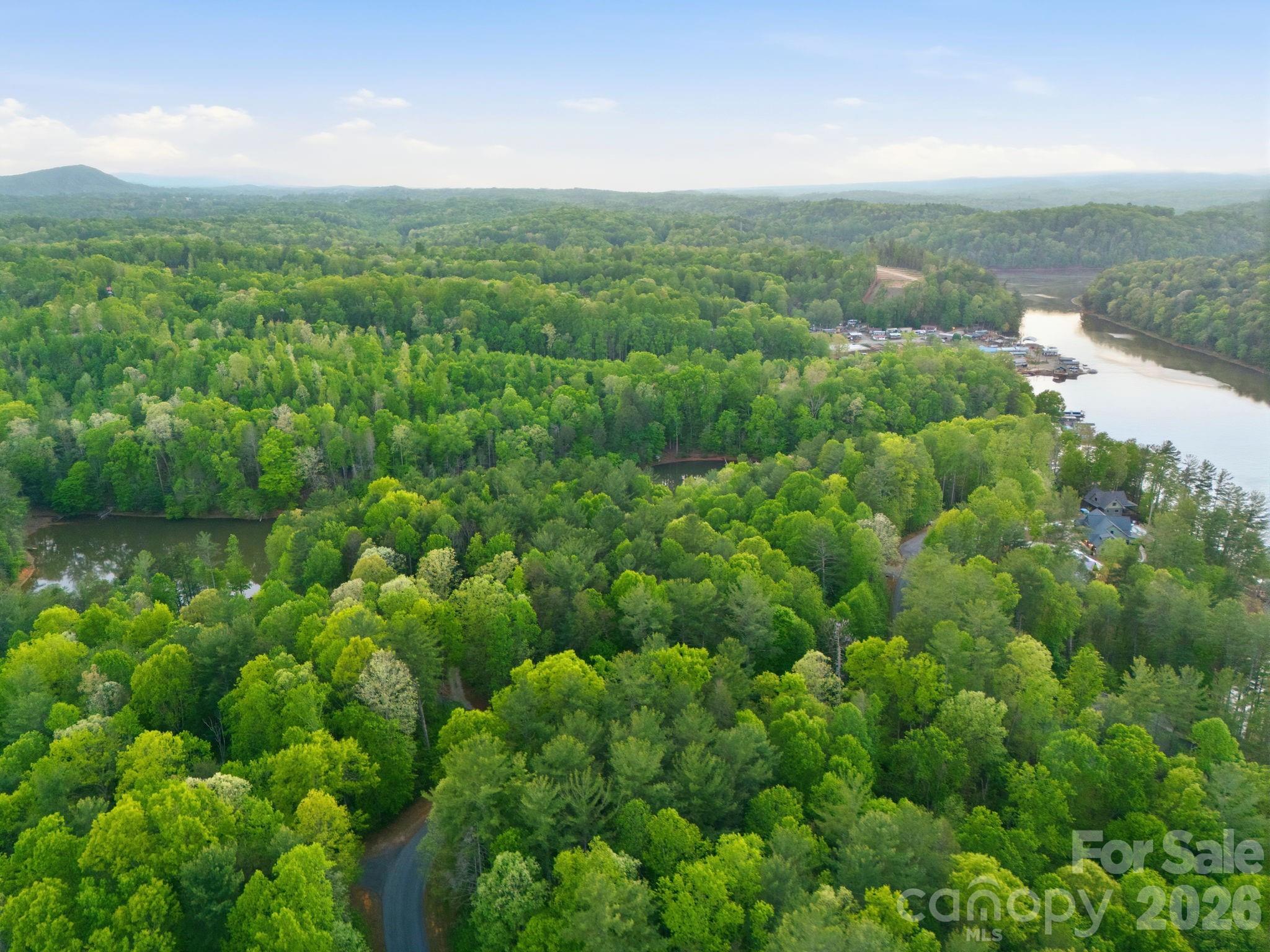 Lot 40 Larkhaven Drive Nebo NC 28761