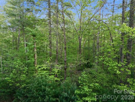 Lot 40 Larkhaven Drive Nebo NC 28761