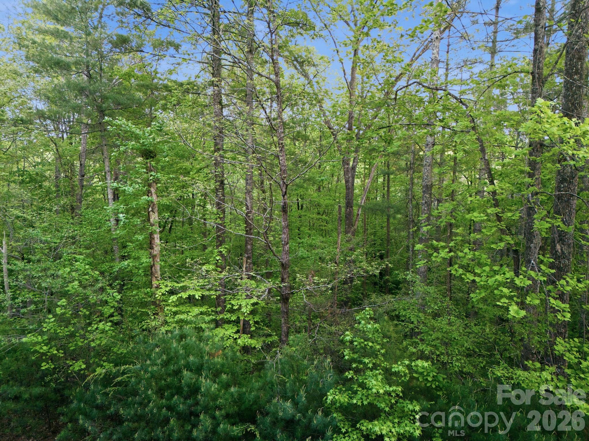 Lot 40 Larkhaven Drive Nebo NC 28761