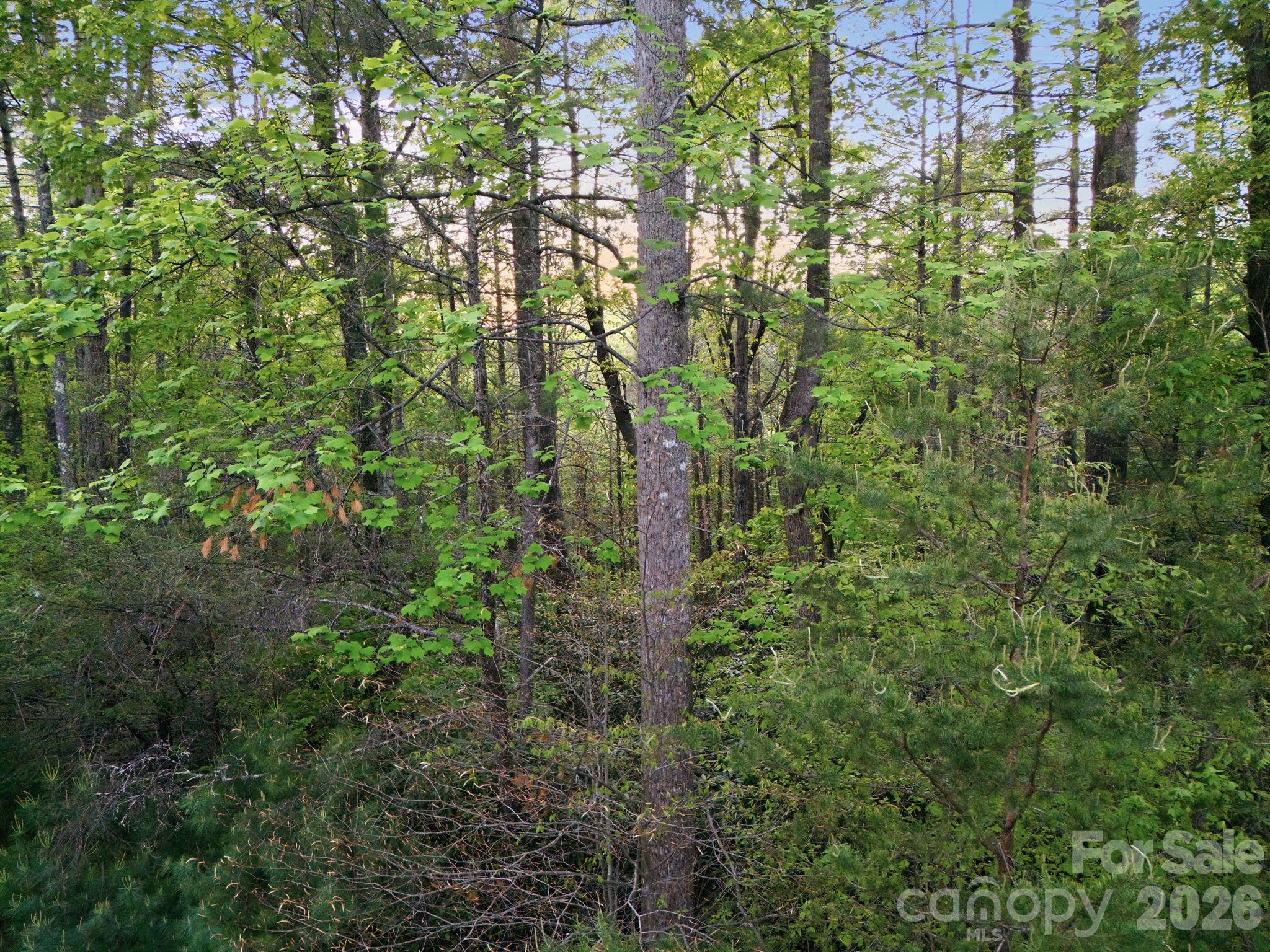 Lot 40 Larkhaven Drive Nebo NC 28761