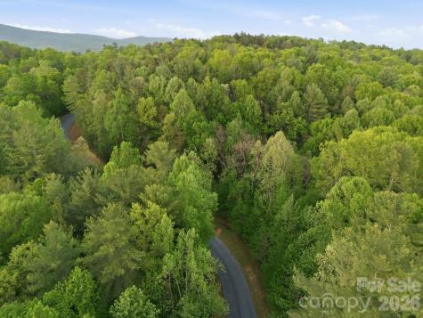 Lot 40 Larkhaven Drive Nebo NC 28761