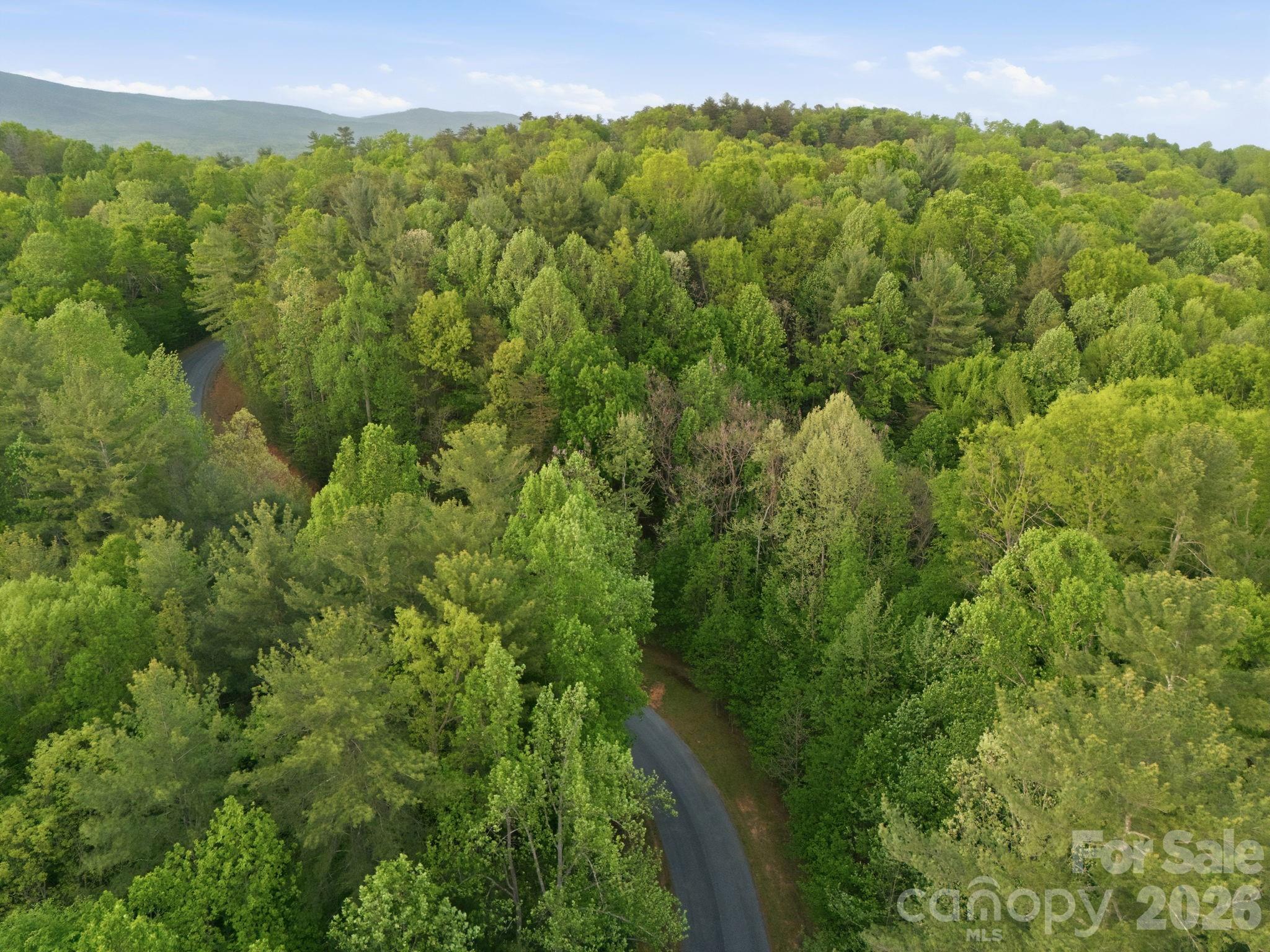 Lot 40 Larkhaven Drive Nebo NC 28761