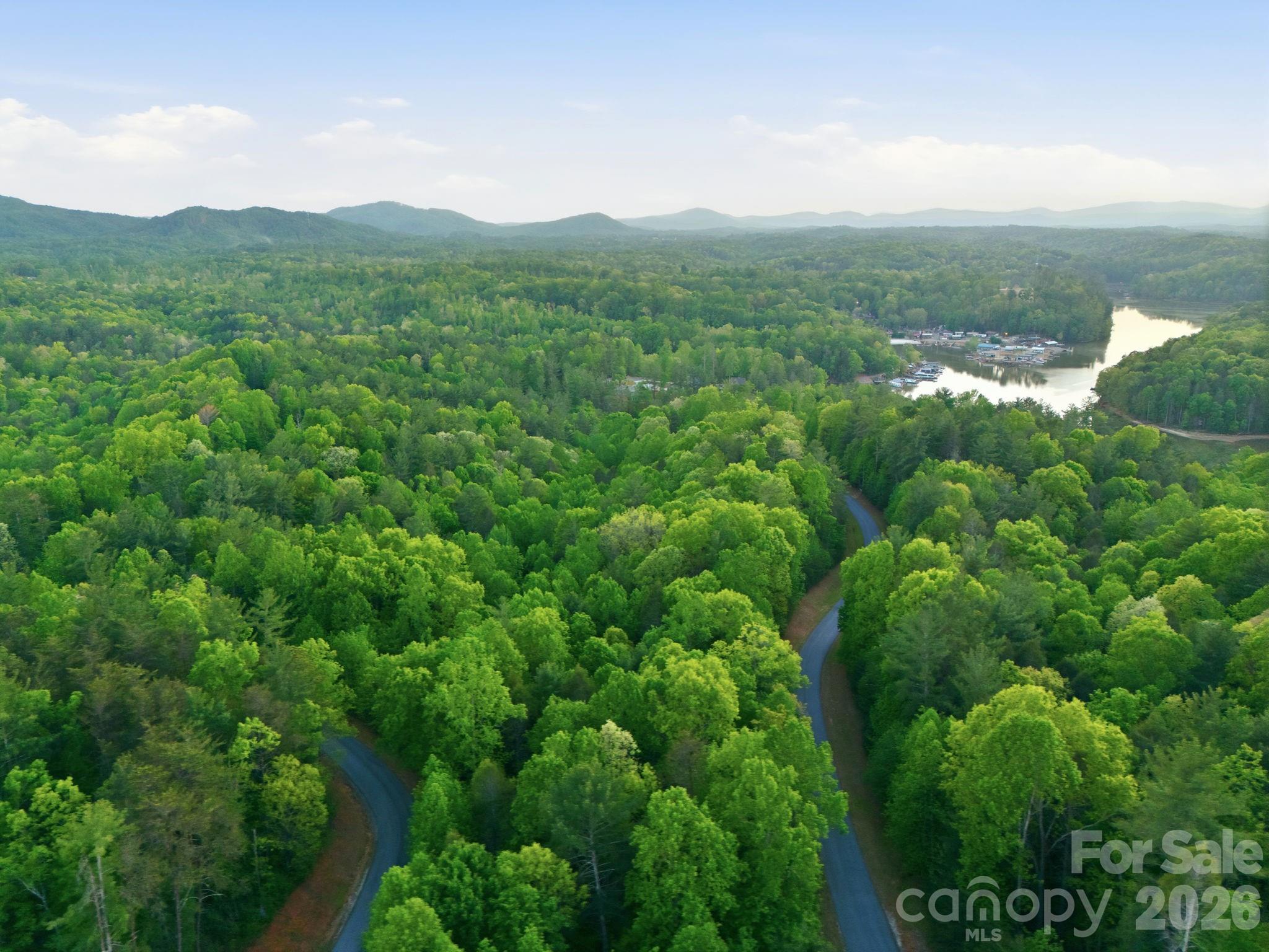 Lot 40 Larkhaven Drive Nebo NC 28761
