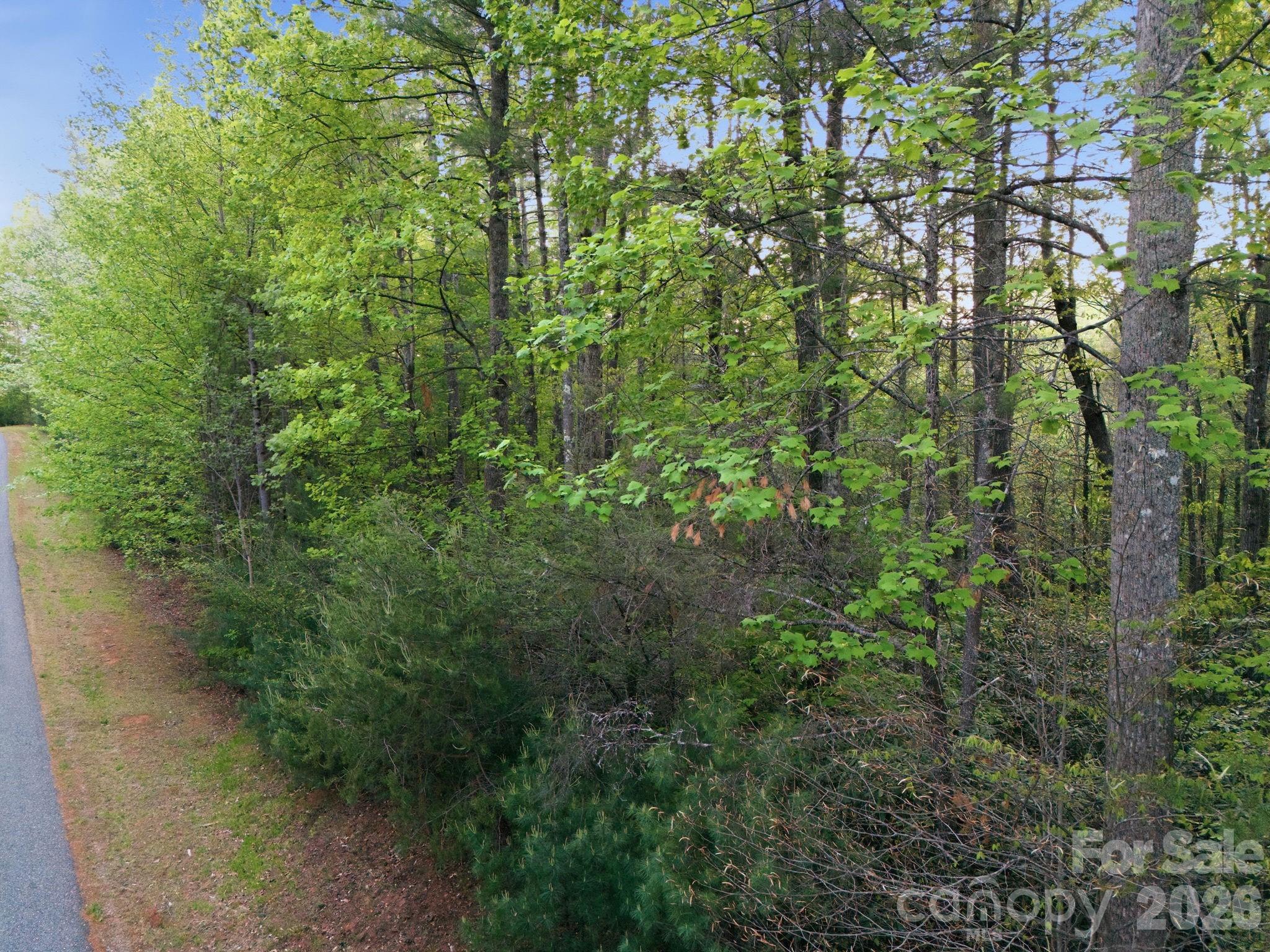 Lot 40 Larkhaven Drive Nebo NC 28761