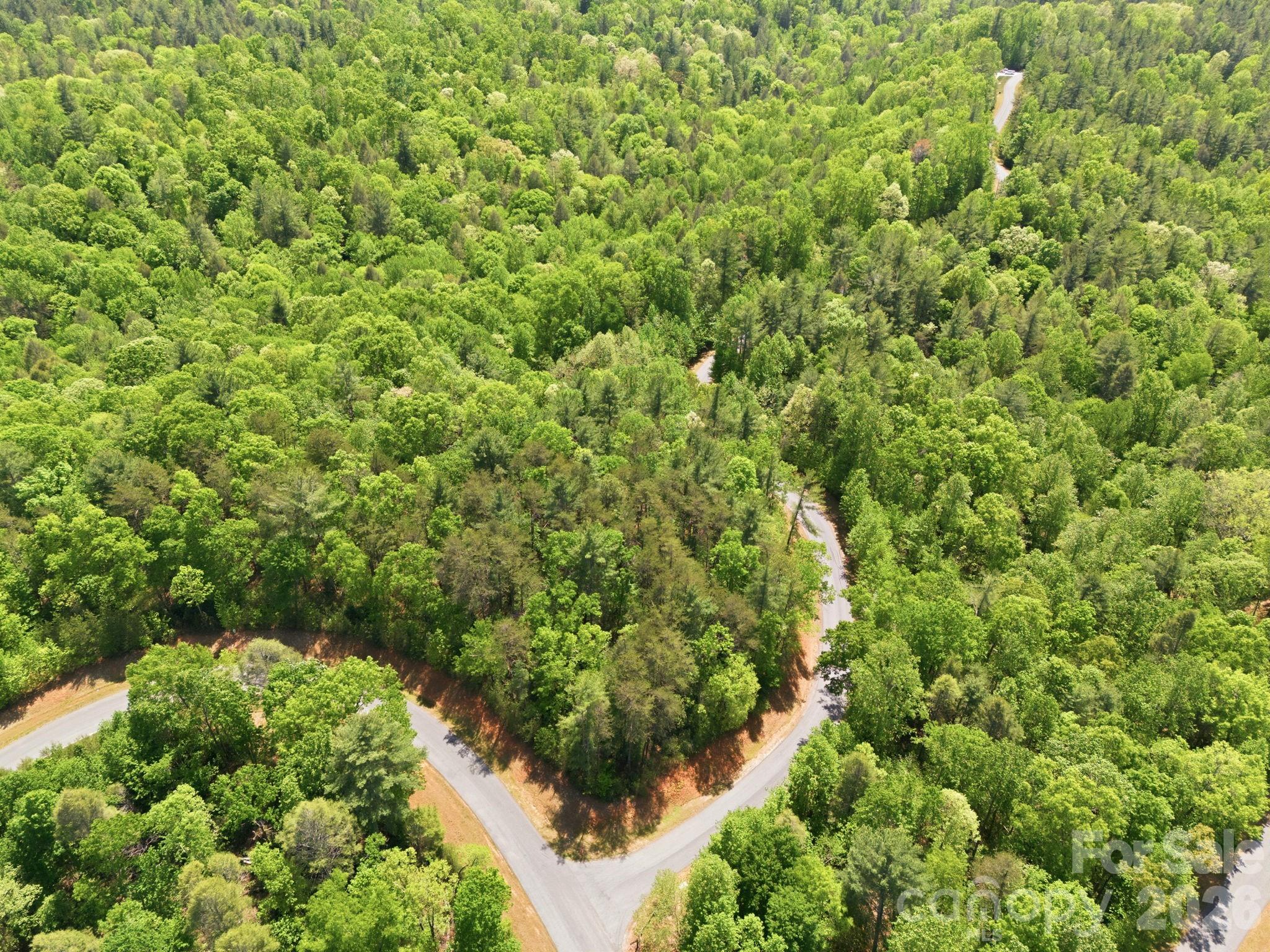Lot 40 Larkhaven Drive Nebo NC 28761
