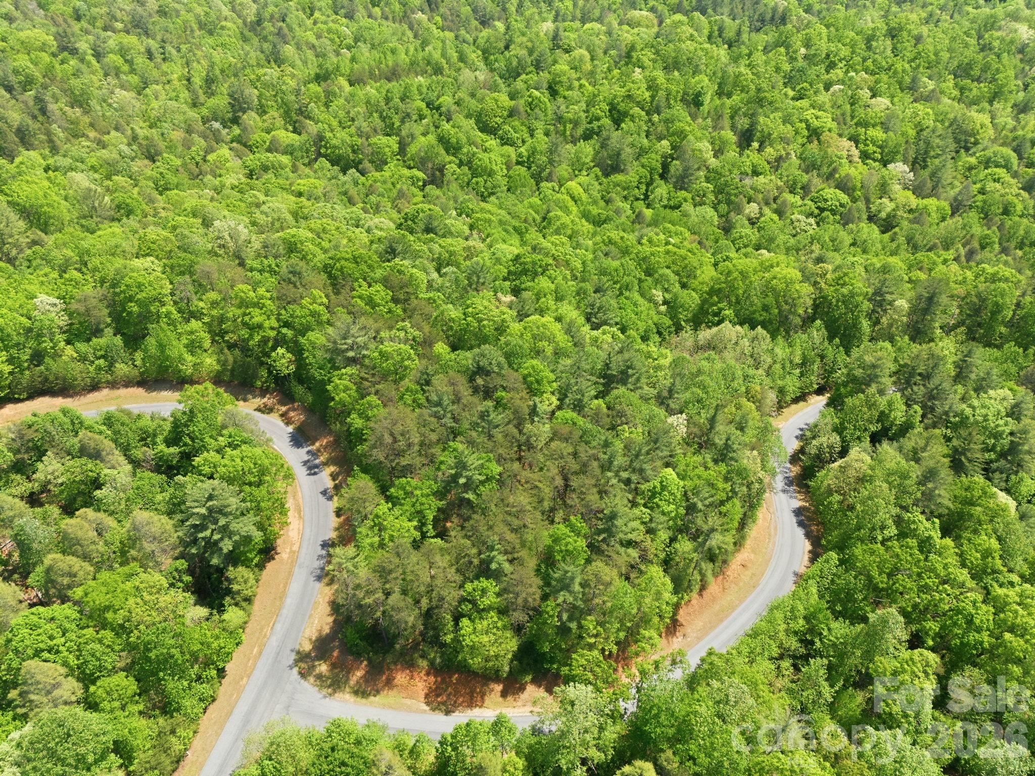 Lot 40 Larkhaven Drive Nebo NC 28761