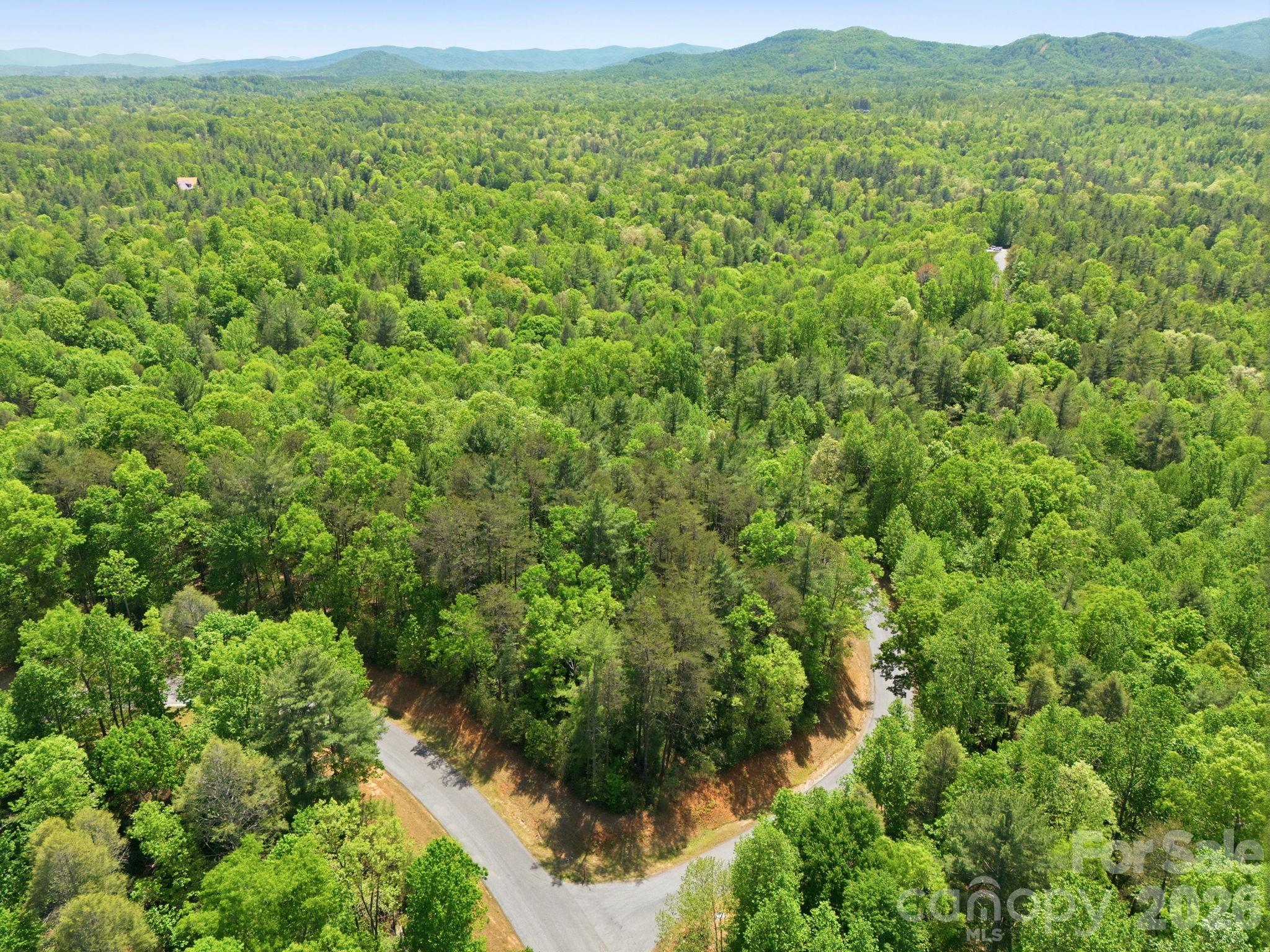 Lot 40 Larkhaven Drive Nebo NC 28761