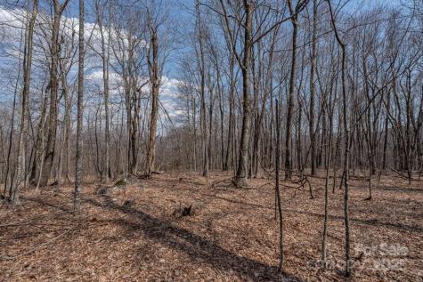 Tbd Grande Oaks Drive Todd NC 28684