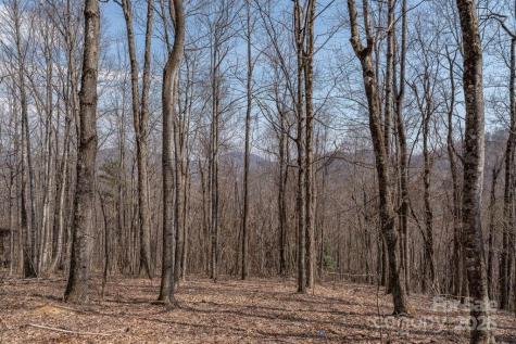 Tbd Grande Oaks Drive Todd NC 28684