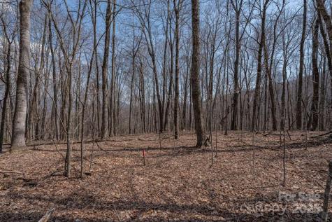 Tbd Grande Oaks Drive Todd NC 28684