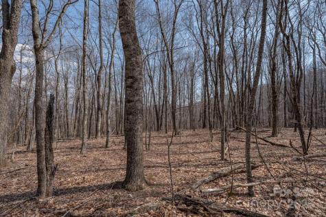 Tbd Grande Oaks Drive Todd NC 28684