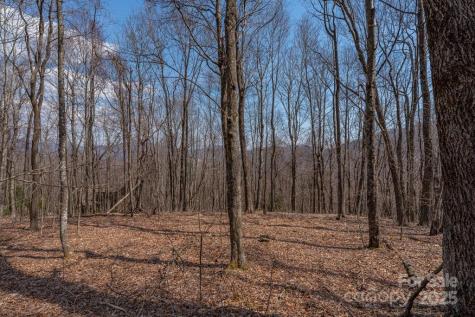 Tbd Grande Oaks Drive Todd NC 28684