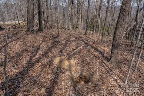 Tbd Grande Oaks Drive Todd NC 28684