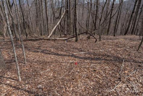 Tbd Grande Oaks Drive Todd NC 28684