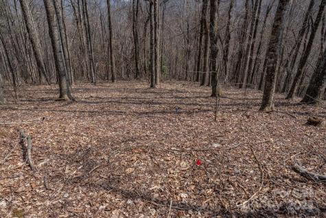 Tbd Grande Oaks Drive Todd NC 28684