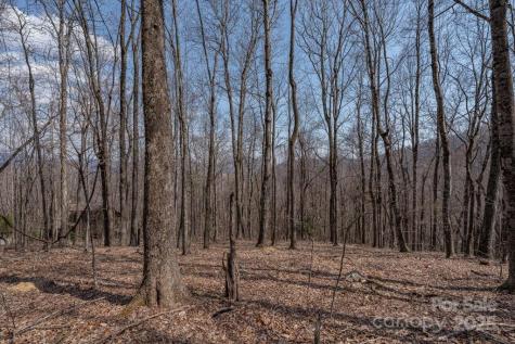 Tbd Grande Oaks Drive Todd NC 28684