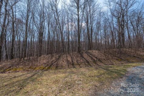 Tbd Grande Oaks Drive Todd NC 28684