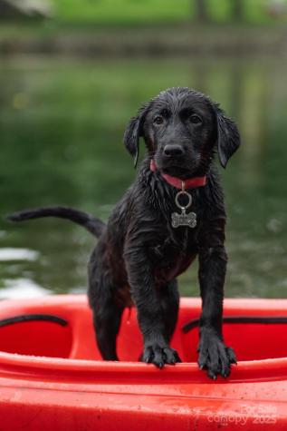 Tbd Grande Oaks Drive Todd NC 28684