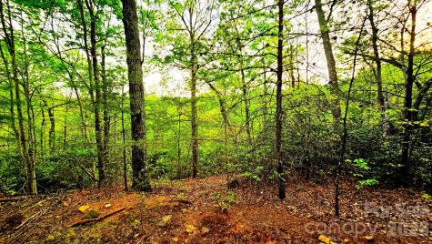 Lot 59 Bear Cliff Way Lake Lure NC 28746