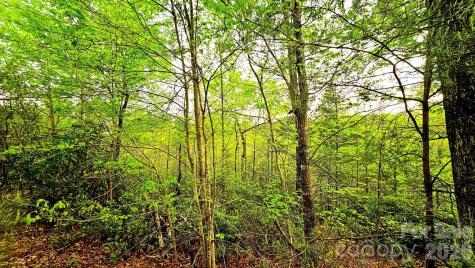 Lot 59 Bear Cliff Way Lake Lure NC 28746