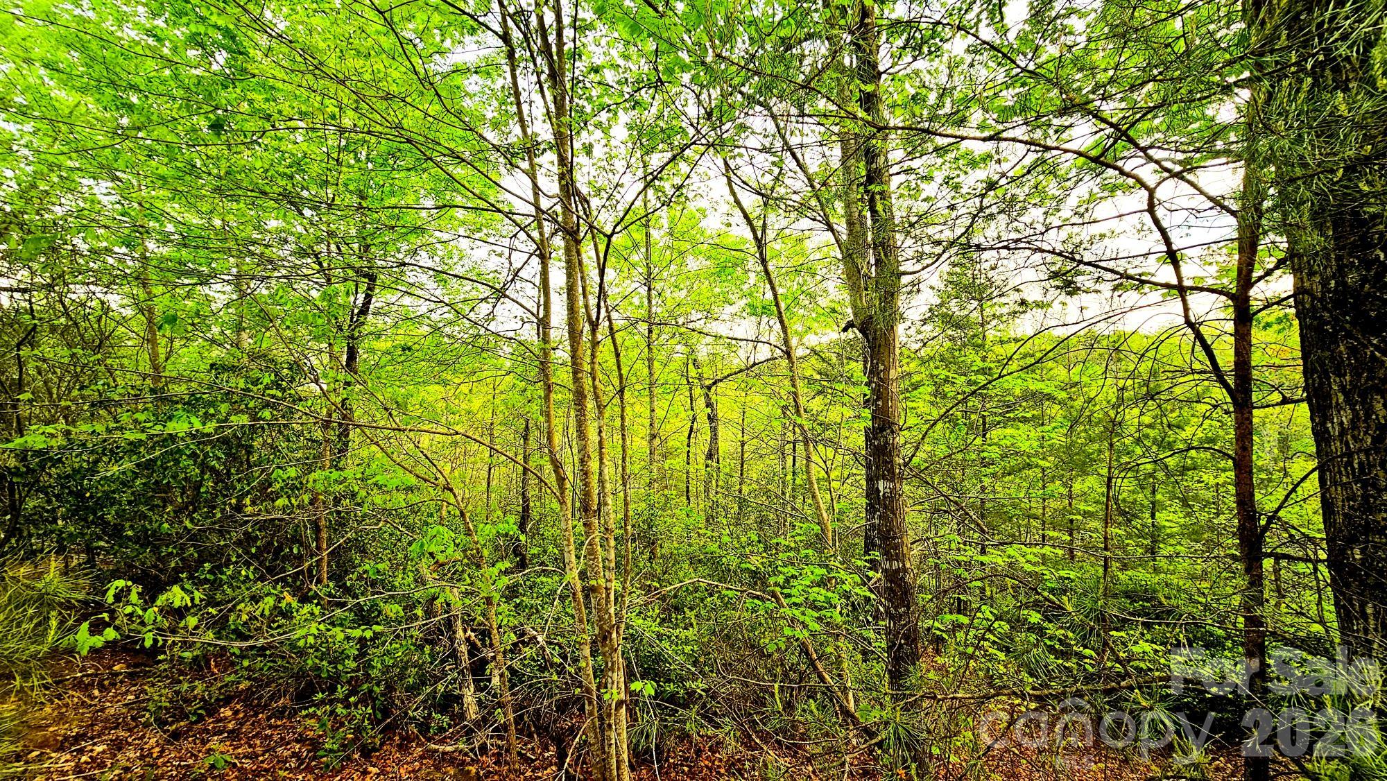 Lot 59 Bear Cliff Way Lake Lure NC 28746
