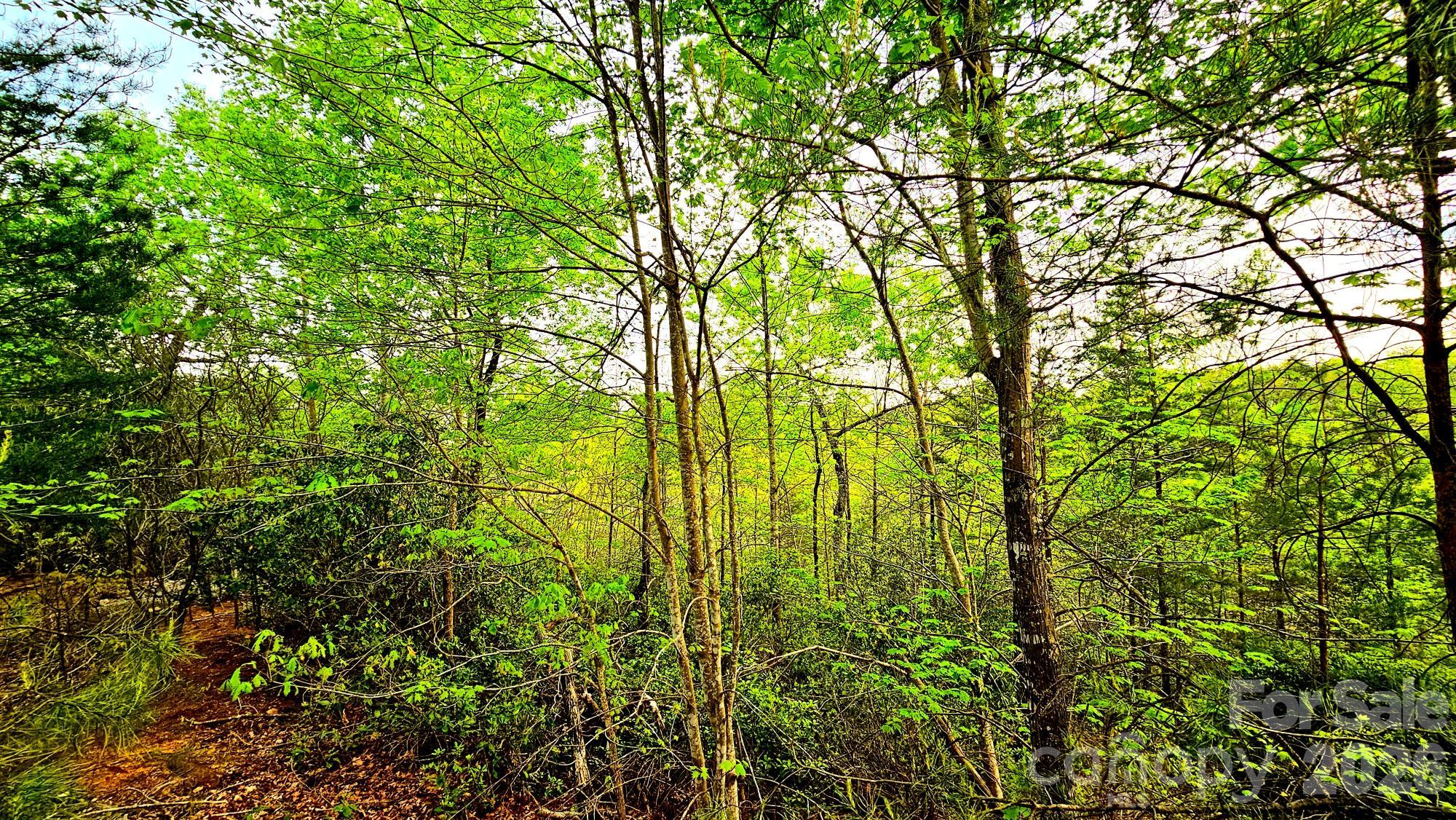 Lot 59 Bear Cliff Way Lake Lure NC 28746