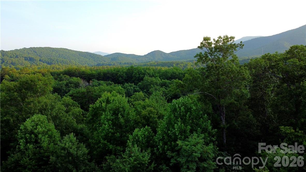 Lot 59 Bear Cliff Way Lake Lure NC 28746