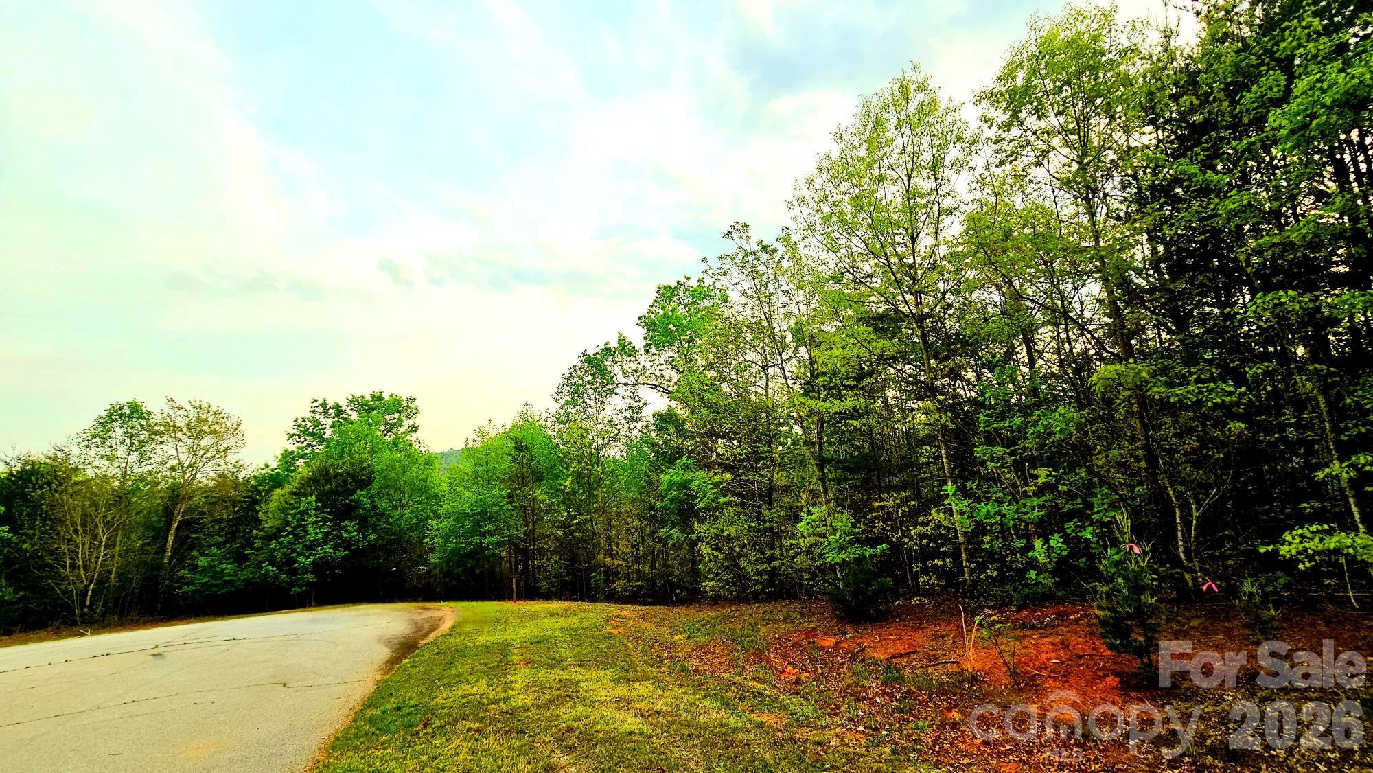 Lot 59 Bear Cliff Way Lake Lure NC 28746