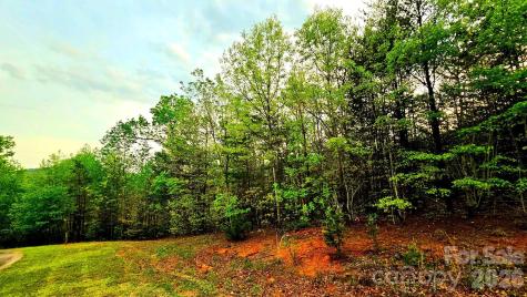 Lot 59 Bear Cliff Way Lake Lure NC 28746