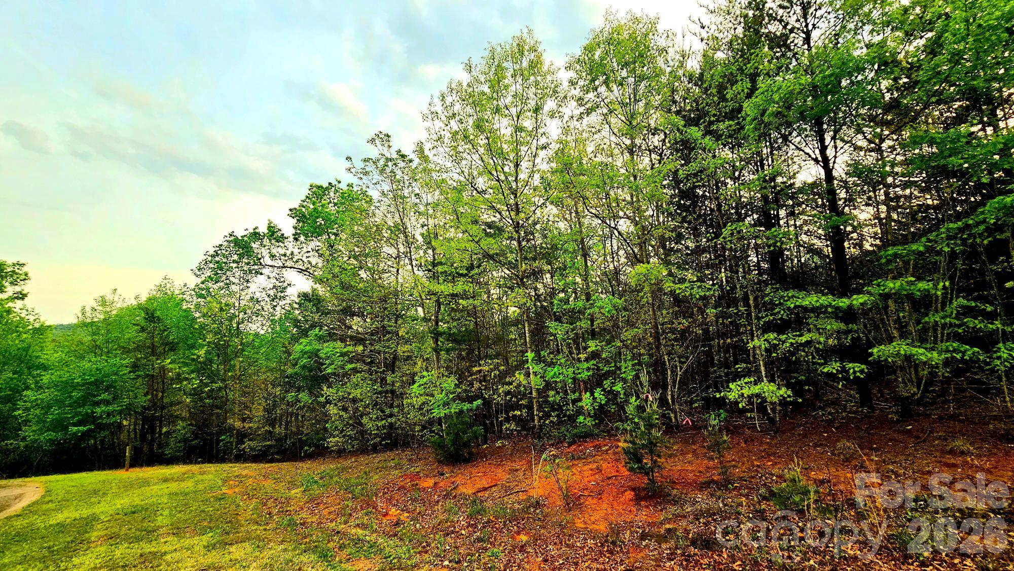 Lot 59 Bear Cliff Way Lake Lure NC 28746