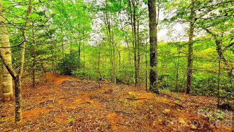 Lot 59 Bear Cliff Way Lake Lure NC 28746