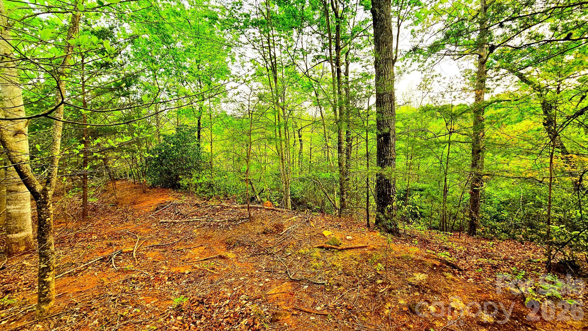 Lot 59 Bear Cliff Way Lake Lure NC 28746