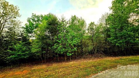 Lot 59 Bear Cliff Way Lake Lure NC 28746