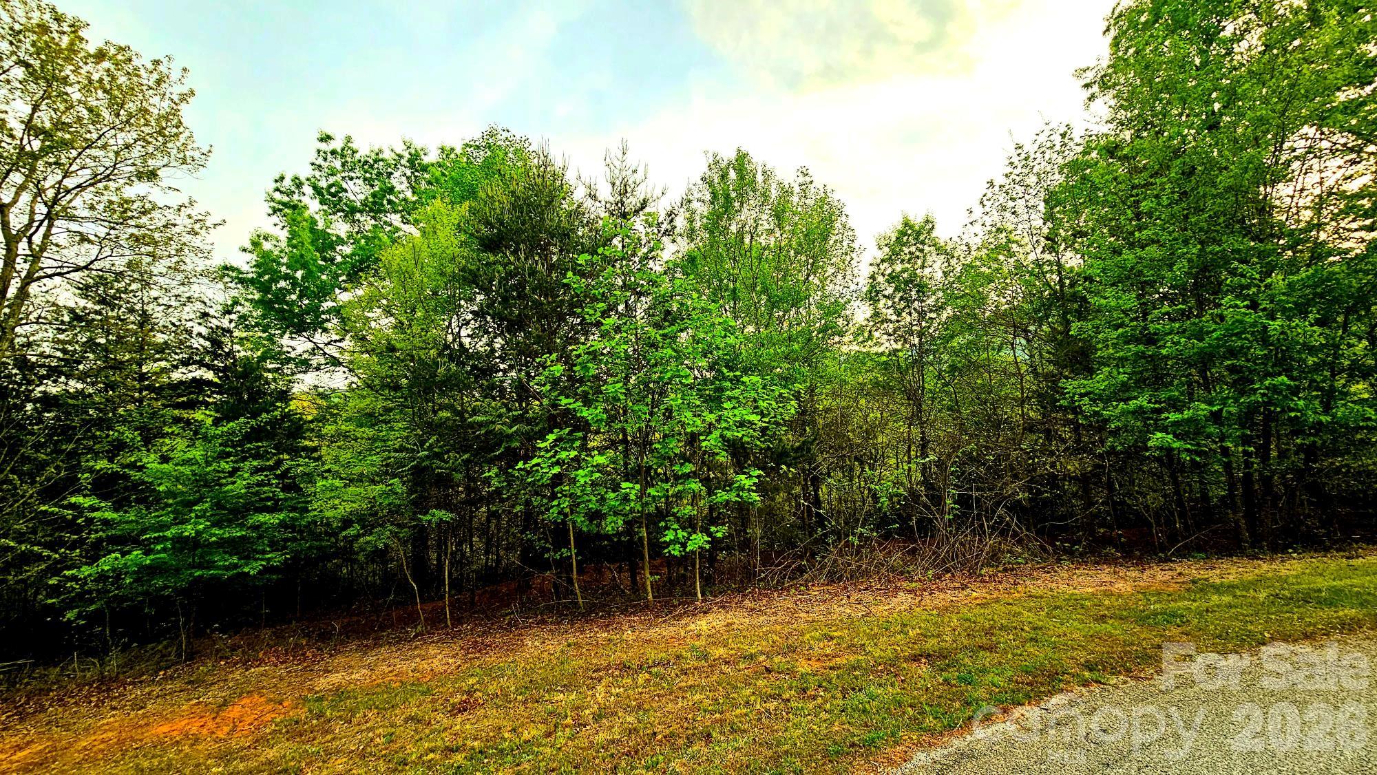 Lot 59 Bear Cliff Way Lake Lure NC 28746
