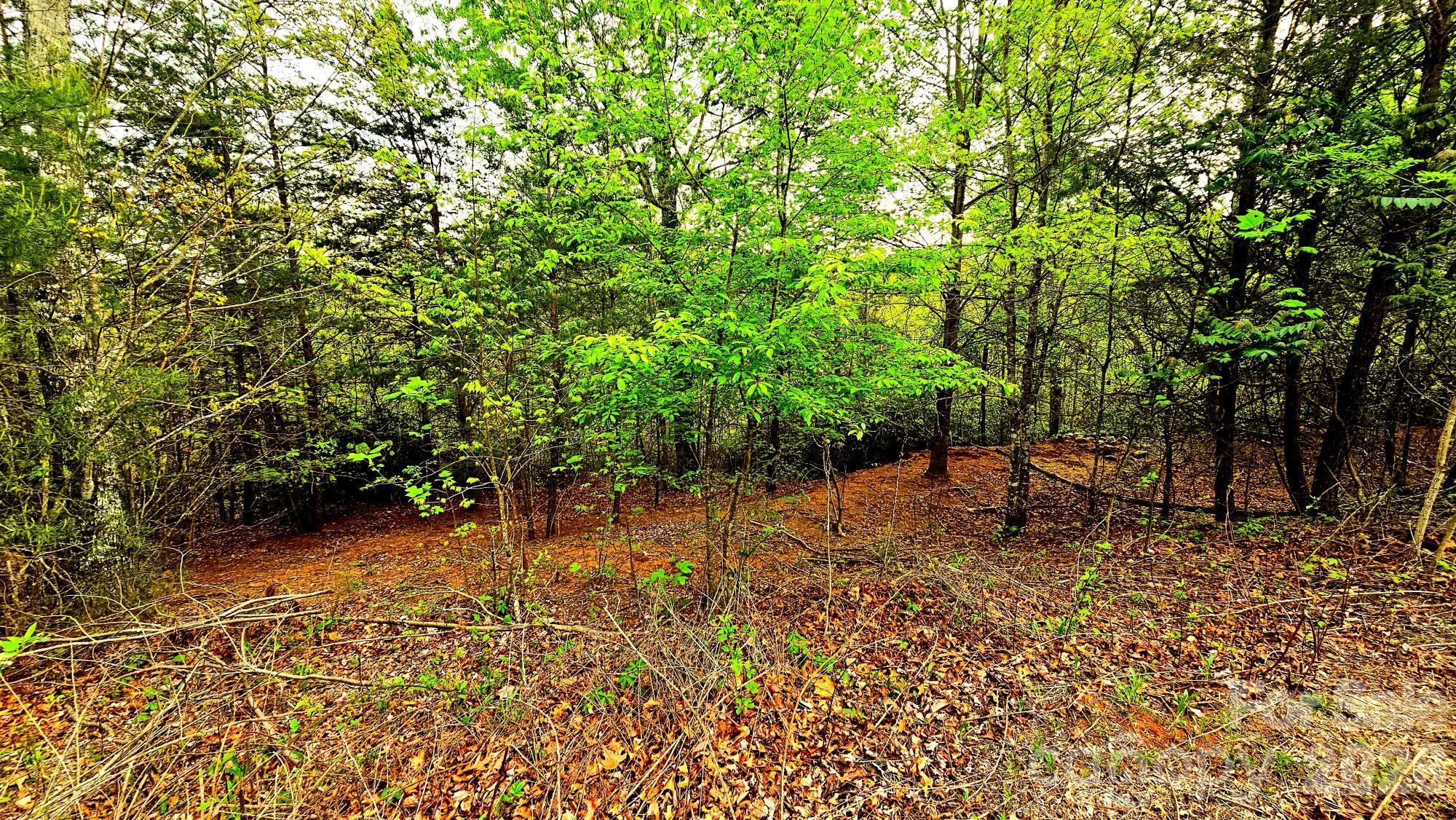 Lot 59 Bear Cliff Way Lake Lure NC 28746