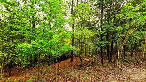 Lot 59 Bear Cliff Way Lake Lure NC 28746