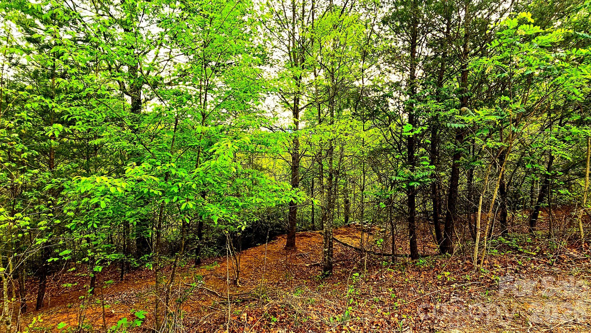 Lot 59 Bear Cliff Way Lake Lure NC 28746